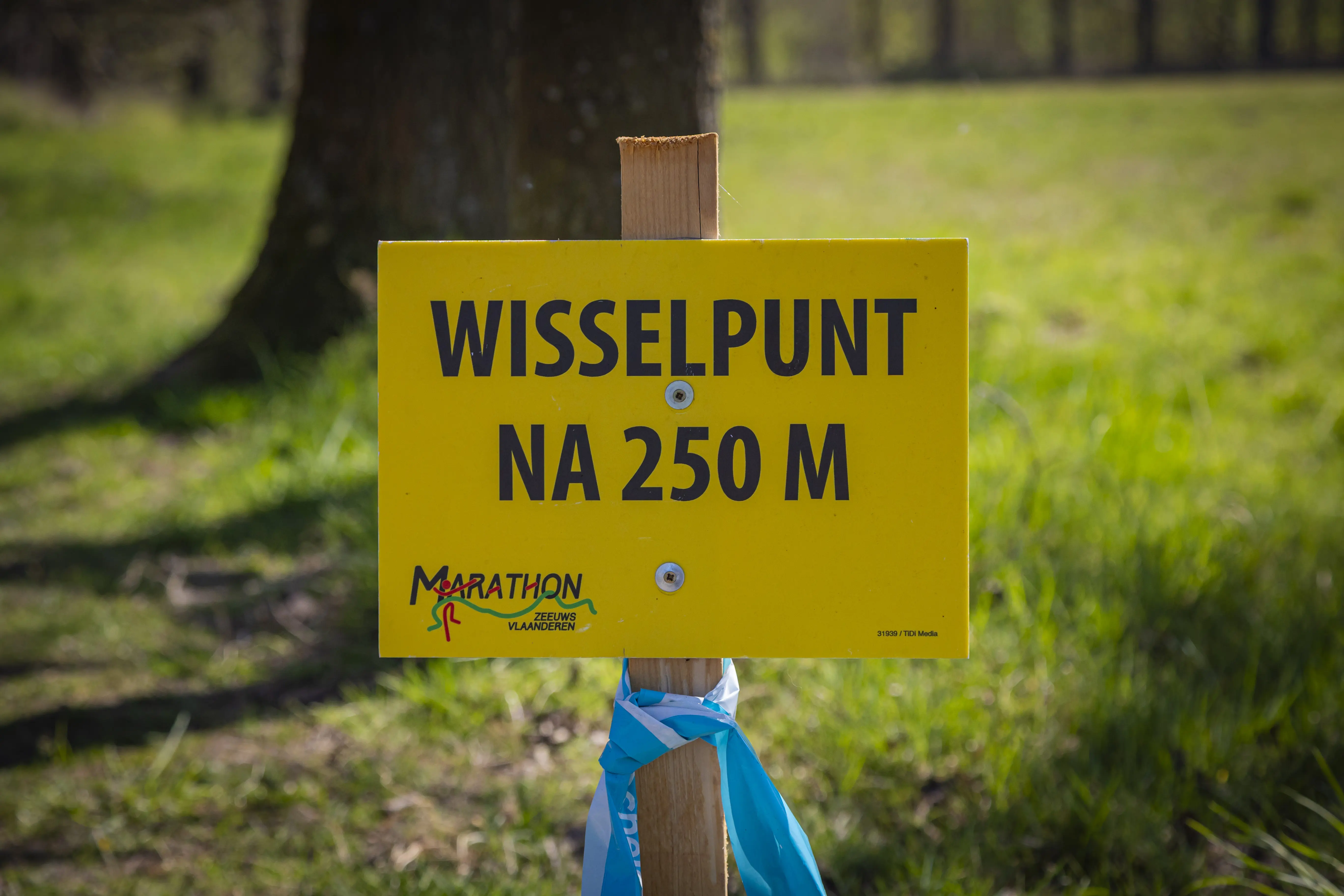 Autoroute begeleiders